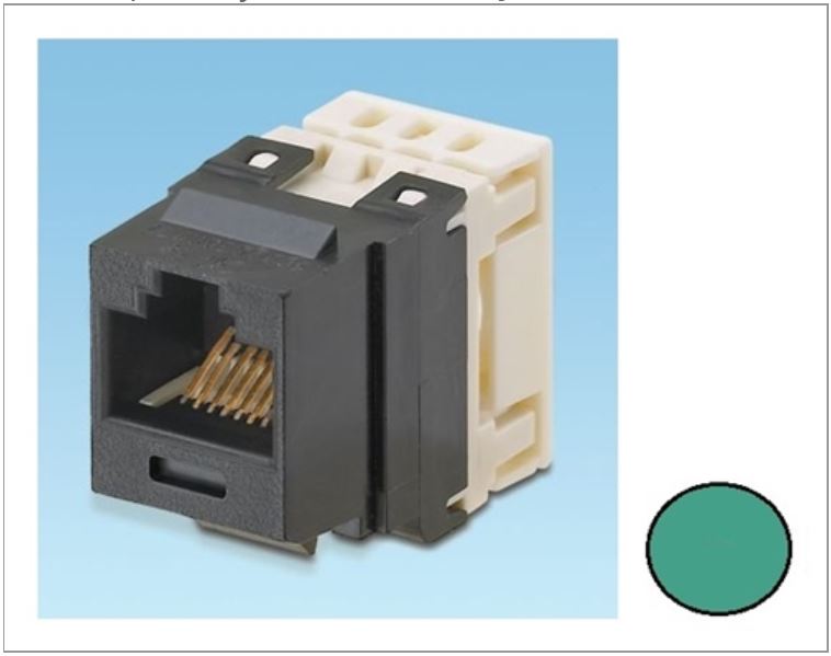 NKP5E88MGR-Q, Panduit Netkey CAT5E, Modular Jack- Green (MOQ: 25; Increment of 25)