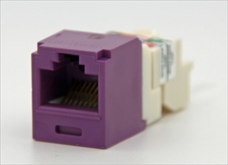 CJ688TPVL, Panduit Mini-Com Modular Jack: TX6+, CAT6, RJ45 - Violet (MOQ: 1; Increment of 1)