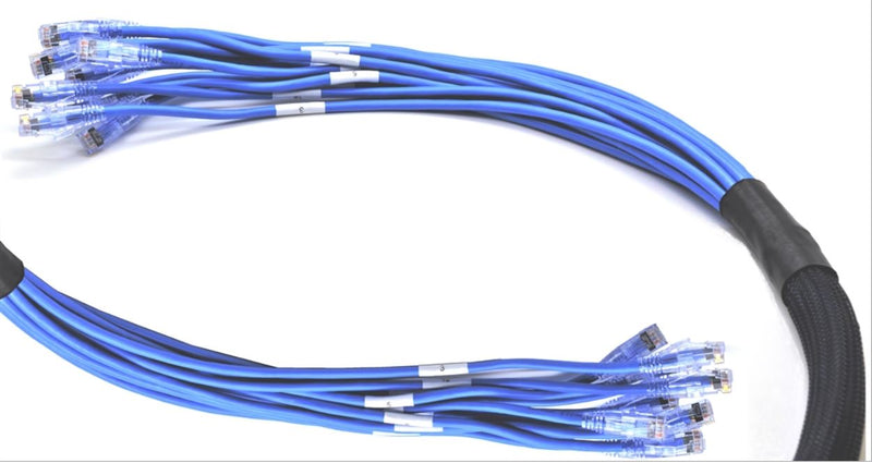 Falcon Technologies B12C6-UPL-RJRJ Copper Trunk Bundle: CAT6, 12 Cable Pre-Terminated RJ45 Bundle, Plenum