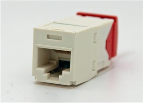 Panduit CJ5E88TGIW Mini-Com CAT5e Giga-TX5e RJ45 Jack Module, International (Off) White