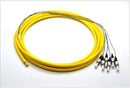 PT6-SM-ST-3M Fiber Optic Pigtail: 6 Strand ST, Single-Mode OS2, 3 Meter