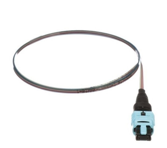 FZTCN7NNNONM001, Panduit Fiber Optic Pigtail: QuickNet, 12 Strand PanMPO, Multi-Mode OM4, 1 Meter (MOQ: 1; Increment of 1)