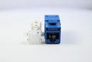 Belden RVAMJKUBL-S1 CAT6A RJ45 REVConnect/KeyConnect Jack Module, Blue