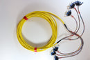 Non-Armored OS2 24 Fiber Pre-Terminated Fiber Optic Cable, Indoor/Outdoor, Plenum