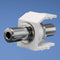 Panduit NK35MSCWH Netkey Modular Jack: 3.5mm Stereo - White (MOQ: 1; Increment of 1)