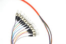 PT12-MM-ST-3M Fiber Optic Pigtail: 12 Strand ST, Multi-Mode OM1, 3 Meter