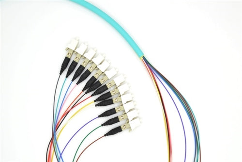 PT12-OM3-LC-3M Fiber Optic Pigtail: 12 Strand LC, Multi-Mode OM3, 3 Meter