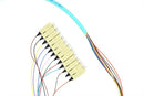 PT12-OM4-SC-3M Fiber Optic Pigtail: 12 Strand SC, Multi-Mode OM4, 3 Meter