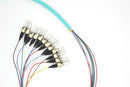 PT12-OM4-ST-3M Fiber Optic Pigtail: 12 Strand ST, Multi-Mode OM4, 3 Meter