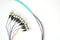 PT12-OM4-ST-3M Fiber Optic Pigtail: 12 Strand ST, Multi-Mode OM4, 3 Meter