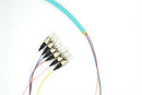 PT6-OM3-ST-3M Fiber Optic Pigtail: 6 Strand ST, Multi-Mode OM3, 3 Meter