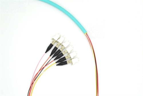 PT6-OM4-LC-3M Fiber Optic Pigtail: 6 Strand LC, Multi-Mode OM4, 3 Meter